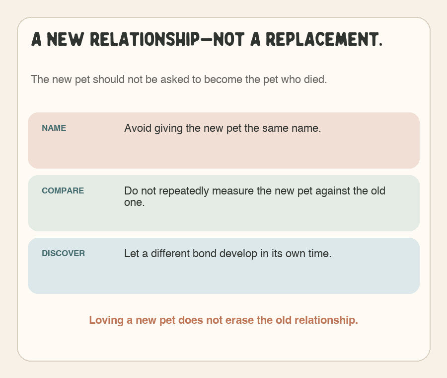 Graphic advising families to treat a new pet as a separate relationship rather than a replacement.