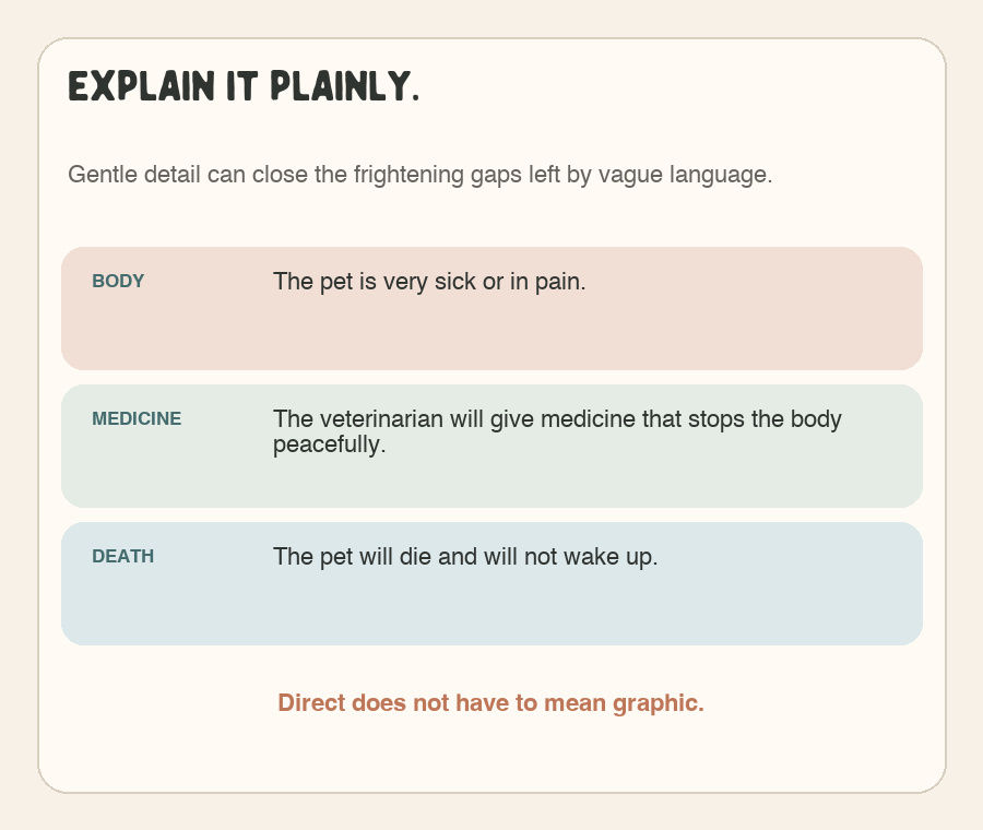 Graphic explaining pet euthanasia through the pet’s illness, veterinary medicine, and death.