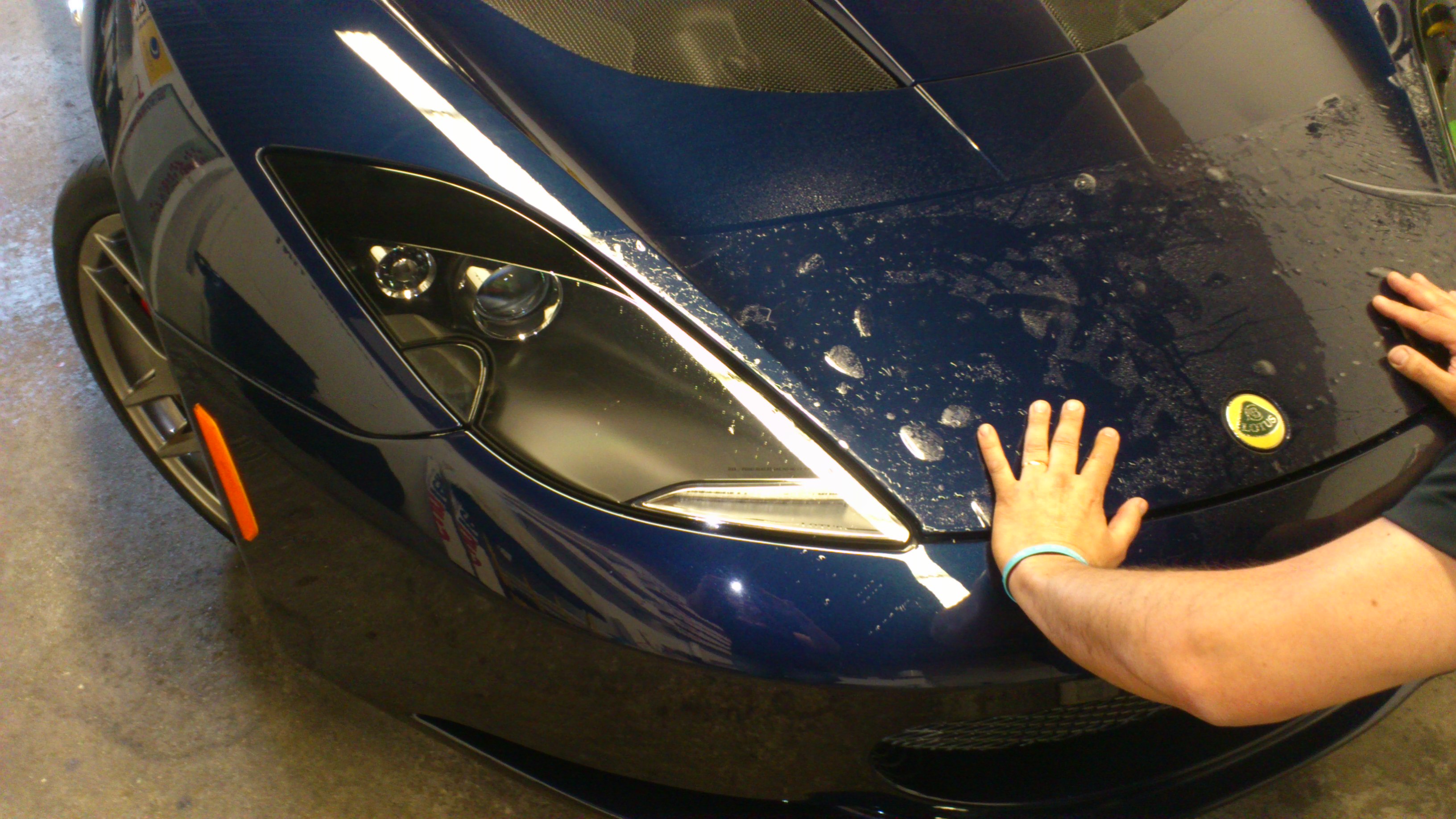 2013 LOTUS