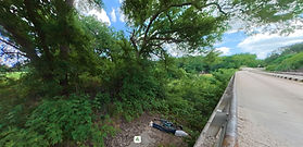 BRIDGE.jpg