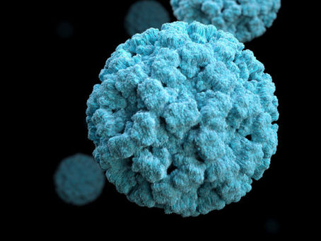 Norovirus numbers are up