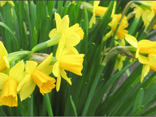 March 2026 Newsletter