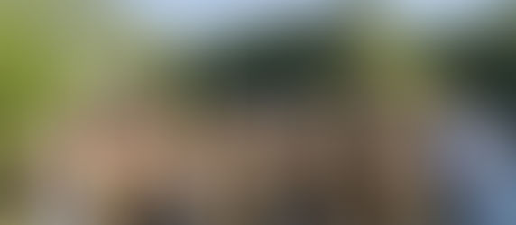 Snickare Täby – Professionella snickeritjänster med Wolfbuilder