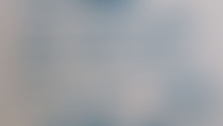 虹の橋へのお手紙vol,211