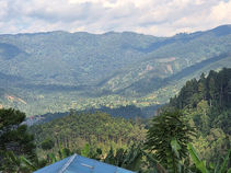 The Hills Are Alive....