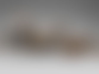 Kudos E-Edition Art Section features "Animal Nature" at Mountain Trails Gallery's 1st Friday