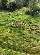 WhatsApp Image 2024-09-02 at 18.38.16_c2814bcb.jpg