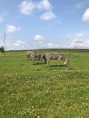 WhatsApp Image 2024-08-03 at 13.28.42_7ea7a177.jpg