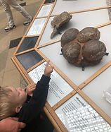 WhatsApp Image 2025-06-08 at 11.21.49_39404d46.jpg