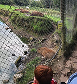 WhatsApp Image 2024-09-02 at 18.38.17_569aa4ef.jpg