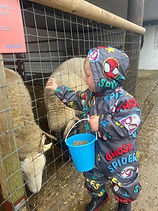 WhatsApp Image 2025-06-07 at 20.51.09_c0d3bffd.jpg