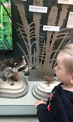 WhatsApp Image 2025-06-08 at 11.21.50_7408a729.jpg