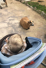 WhatsApp Image 2025-06-08 at 11.20.44_694c799f.jpg