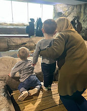 The National Marine Aquarium