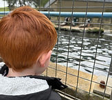 WhatsApp Image 2025-06-07 at 20.31.12_ff6a4261.jpg