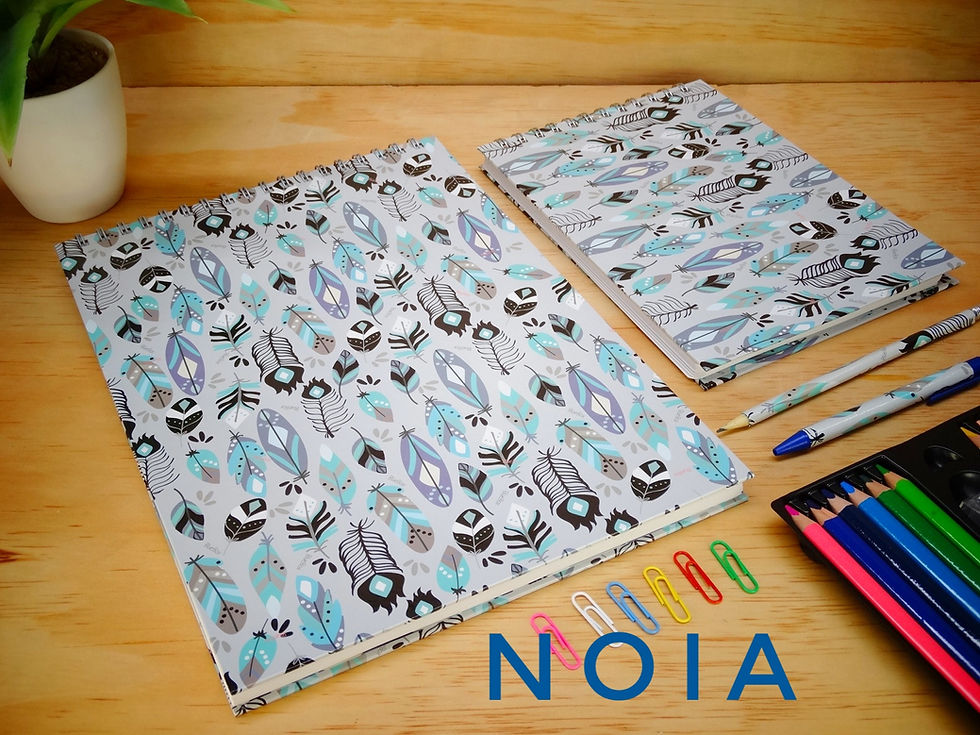 Miniatura: Cuadernos de Dibujo