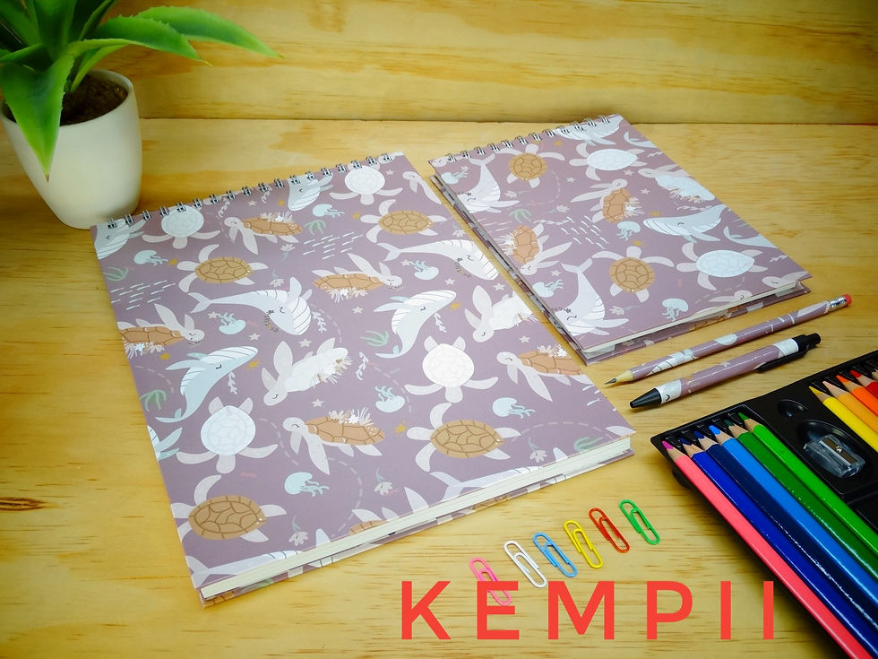 Miniatura: Cuadernos de Dibujo