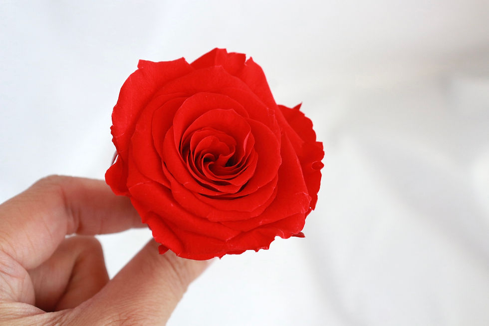 Thumbnail: 0384-0-321 Red Roses X9