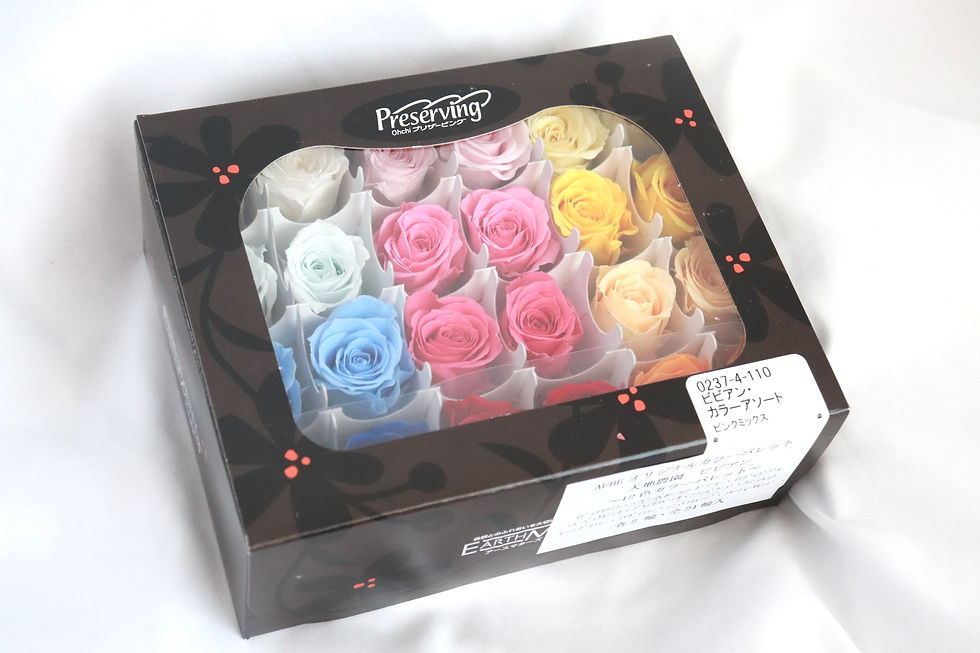Preserved Roses
