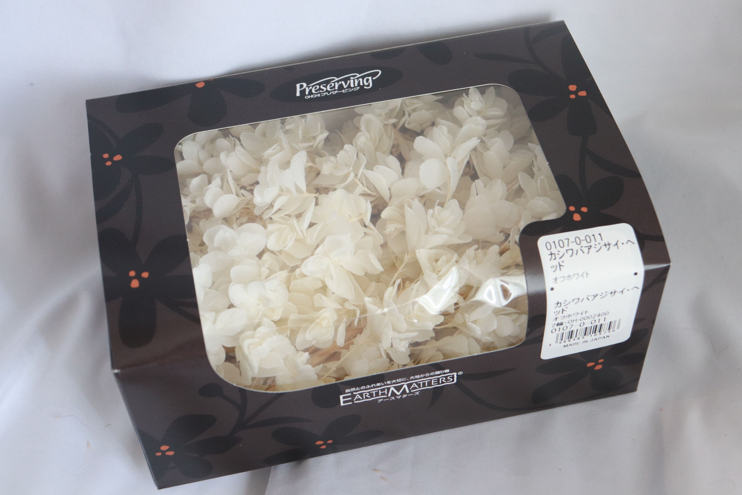 0107-0-011 White Hydrangea