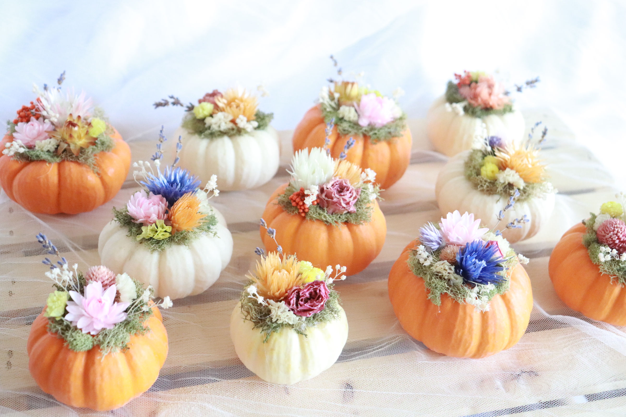 Dried flower Pumpkins