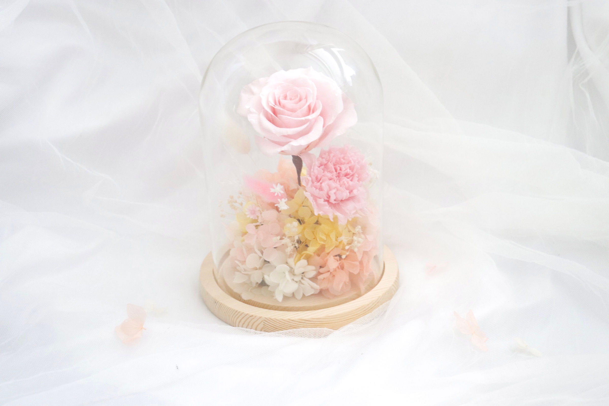 Glass Dome (Pink X Yellow)