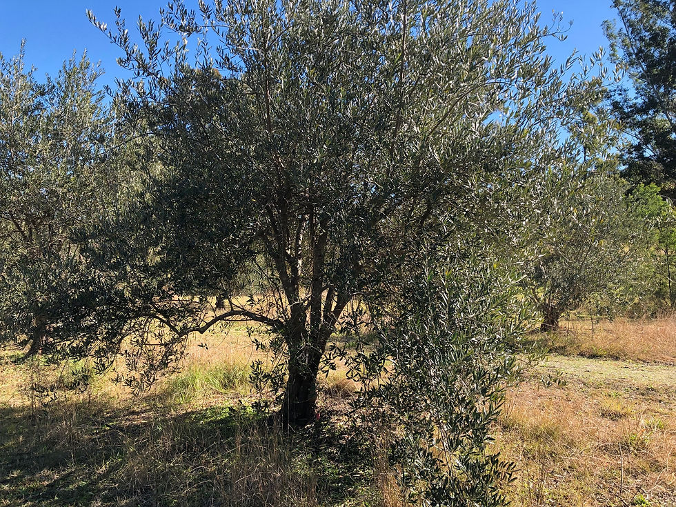 C096FB10-7AA9-4272-B2CE-22B6A7056BC6