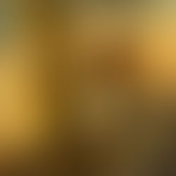 The unclean & the Unblemished One