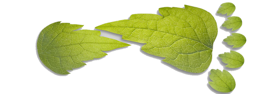 Safi Apparel is a green textile manufacturer