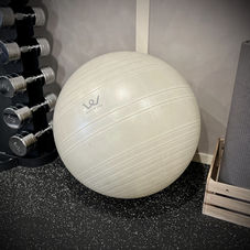 UtMost GYM Exercise ball