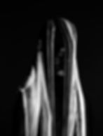 Mizuzu Parktown JHB - Courtesy Galerie C