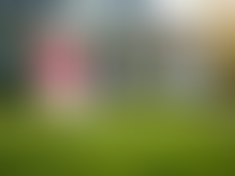 How to Find a Good Real Estate Agent