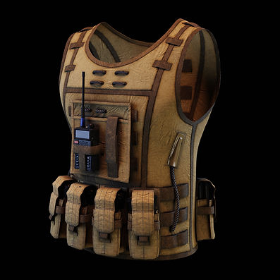 Vest_1.jpg