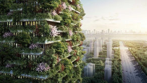 Consuminderen of duurzame innovatie: wat gaat ons redden?