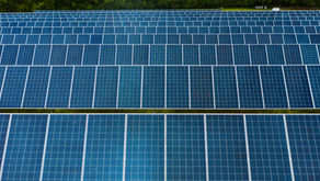 De rol van Nederland in de wereldwijde klimaatcrisis