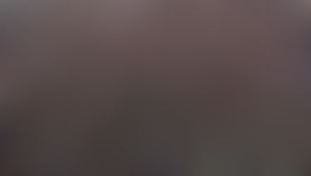 Hoe bereikt (duurzame) innovatie de massa? De theorie van Rogers