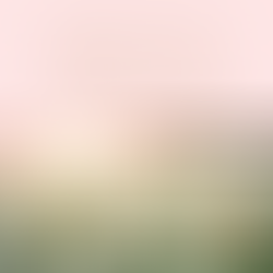 Bliss List: Spring 2020