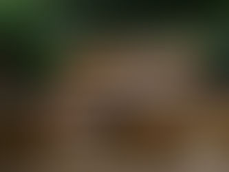 Retenues en traverses paysagères