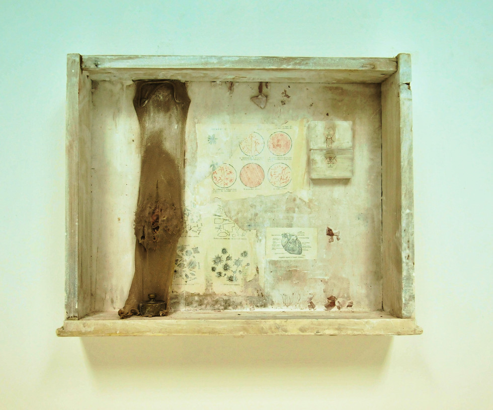 'The wound that loves the knife'