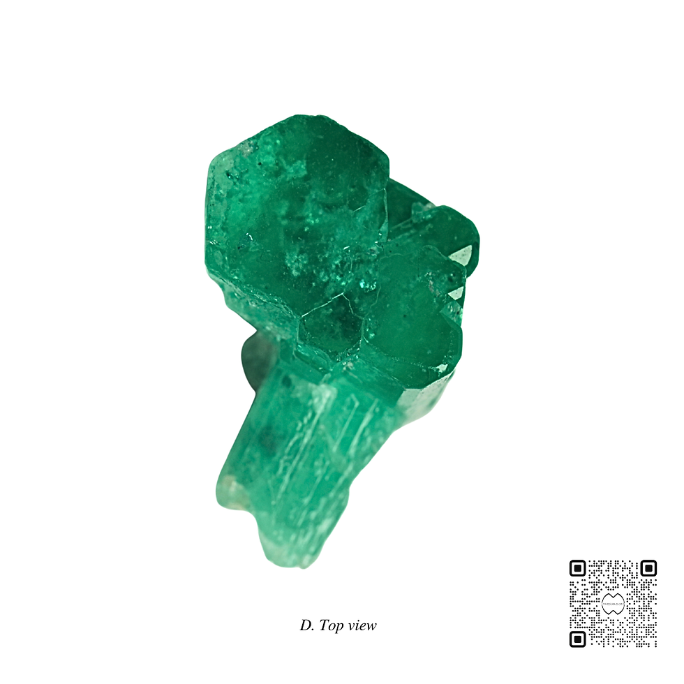 Miniatura: Macla Ref. 43 (precio por WhatsApp)