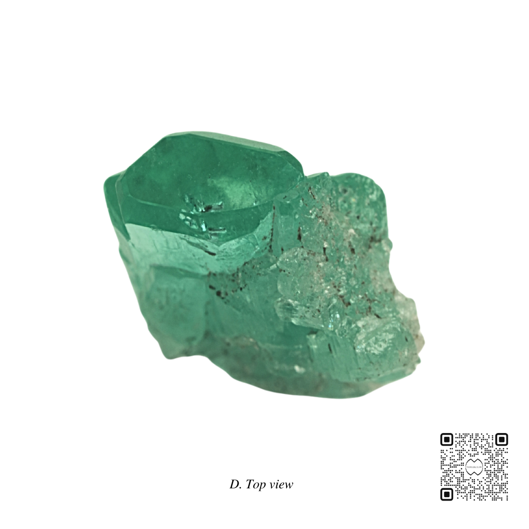 Macla Ref. 49 (precio por WhatsApp)