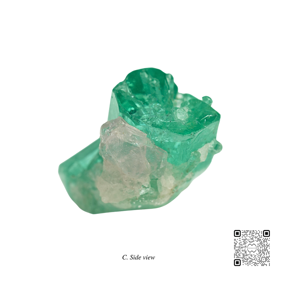 Thumbnail: Macla Ref. 32 (precio por WhatsApp)