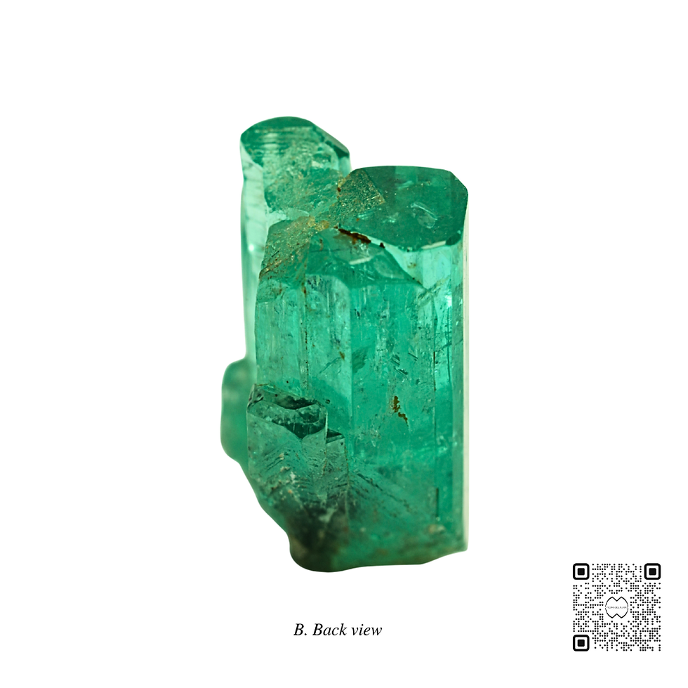 Miniatura: Macla Ref. 48 (precio por WhatsApp)