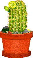 Catus_Sparkle_Mirrored.gif