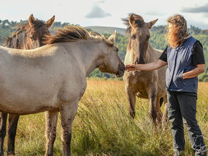 Touching the Wild Heart of Horses