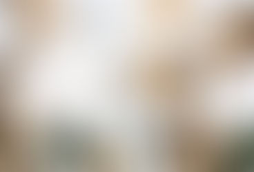 The Future of Sustainable Packaging Trends 2025 to Watch