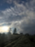 photo_site_tete.jpg