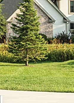Electric Lawn Mower Rebates and Incentive Programs for the Bobcat ZT6000e