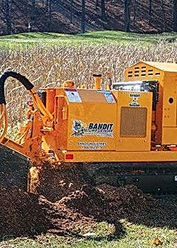 Bandit 2900