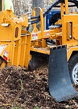 Bandit 3100